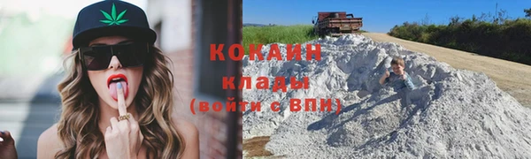 Альфа ПВП Верея