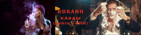 Альфа ПВП Верея