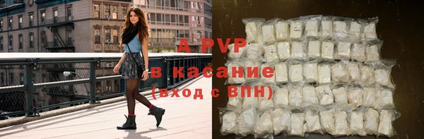 Альфа ПВП Верея