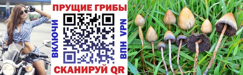 Псилоцибиновые грибы MAGIC MUSHROOMS  Каменск-Уральский 